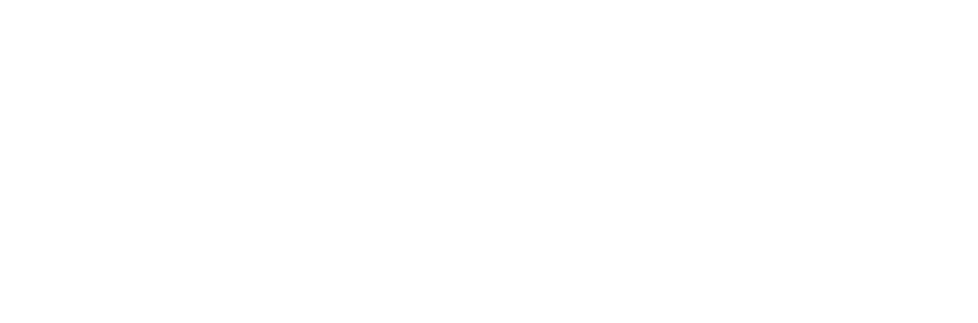 Digital Marketing Inspector